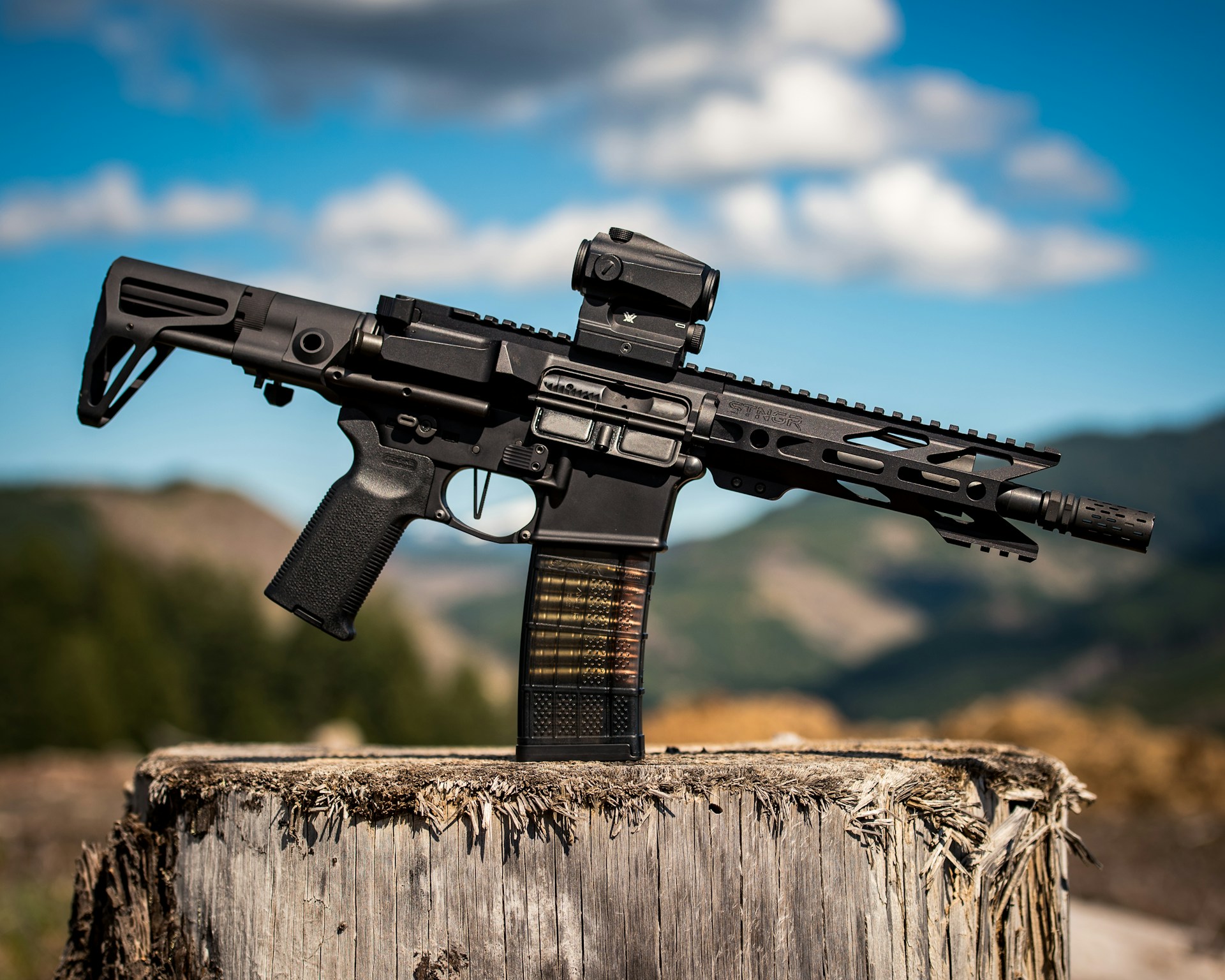 AR-15 on a tree stump with blue sky background